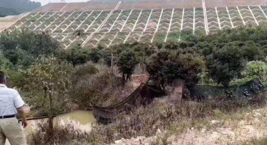 租5块每平 凤岗镇黄洞农庄出租14000平有现成水电合同5年