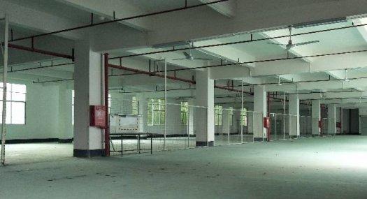 凤岗金凤凰原房东楼上水电厂房出租2000平，无公摊