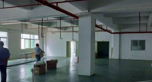 凤岗近东深二线 电子 印刷 配件厂房出租1100平面积实在