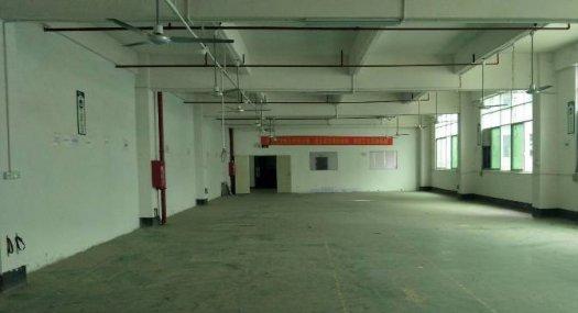 凤岗官井头近大运城邦楼上出租出租800平位置佳 好招工