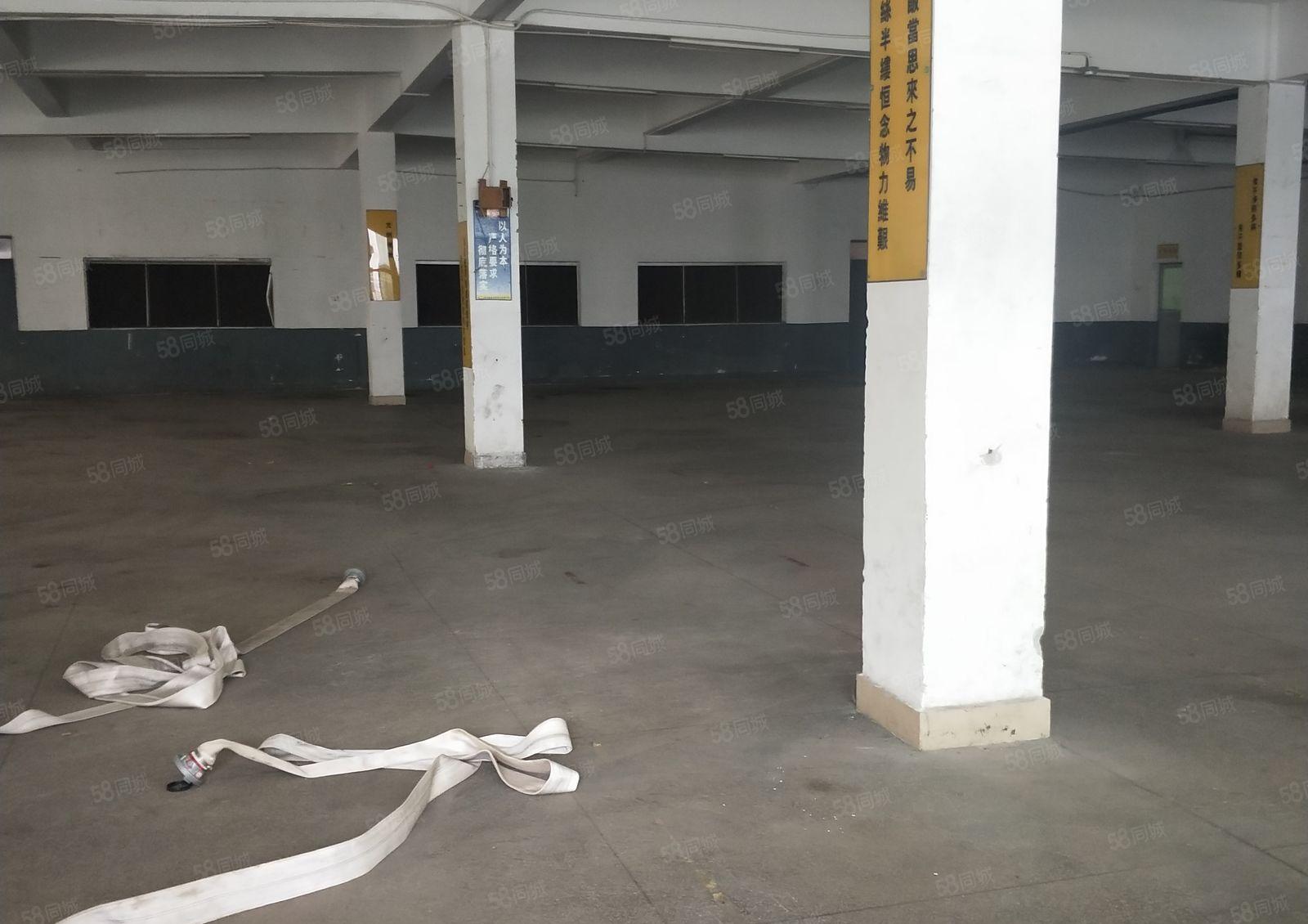 南城 周溪 经典 独院 一层 1100平方 位置好，空地大