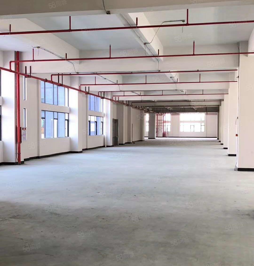 南城蛤地空出一楼2200平方，可做仓库