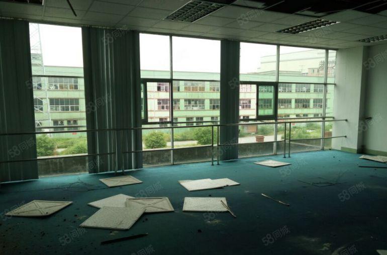 南城 白马 即将空出 二楼整层 600平方，精装修，九成新