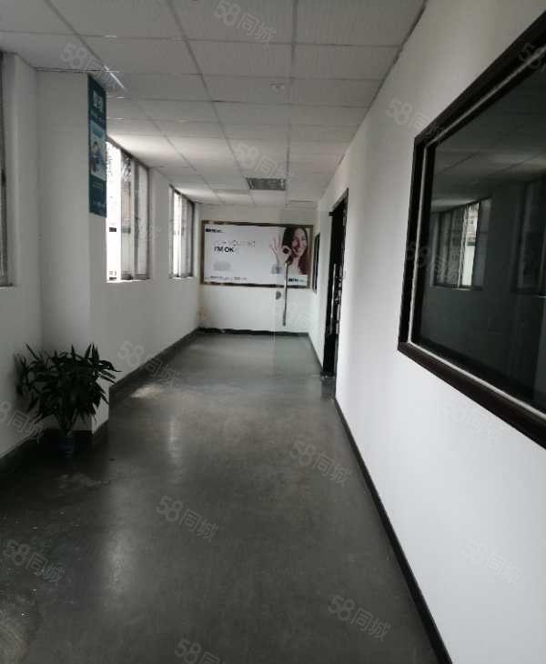 价格便宜！南城周溪靠近大马路边原房东658平，交通便利，