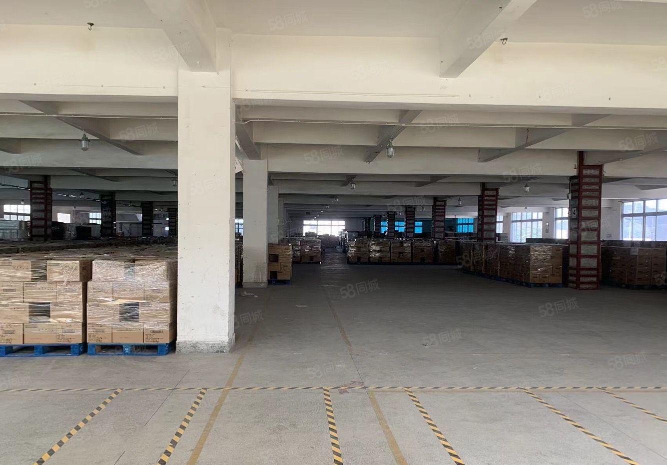 南城新出独院靓厂房，形象漂亮户型好用 适合各行业