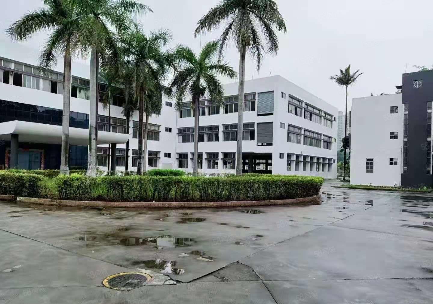 南城新出独立花园式厂房6600平，水电齐全，带装修