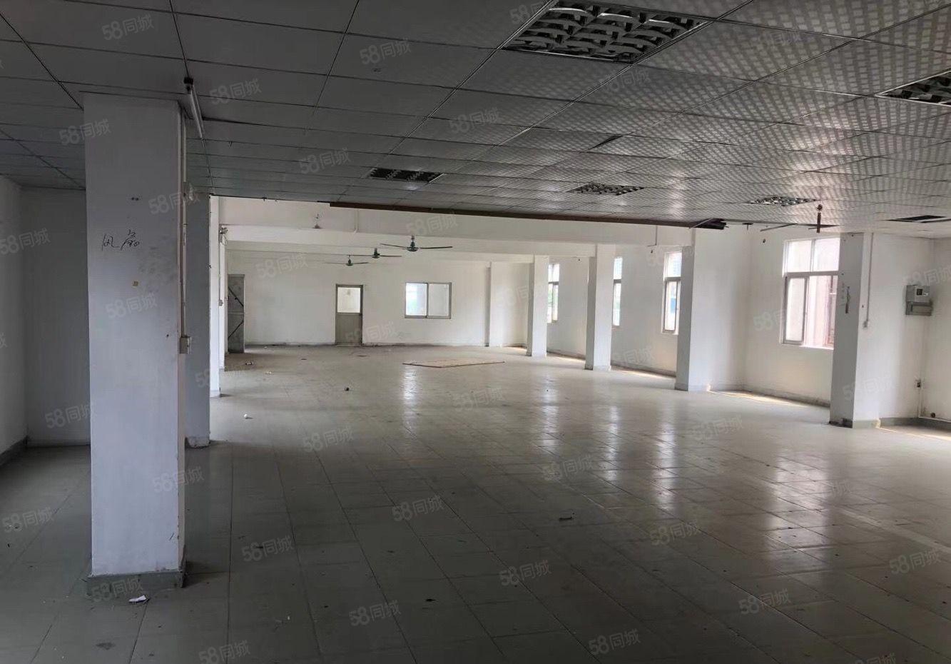 南城环城路边独院厂房出租2600平，形象好交通方便