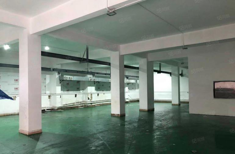 上午新出 南城 独院 厂房招租1000平,现成装修形象好