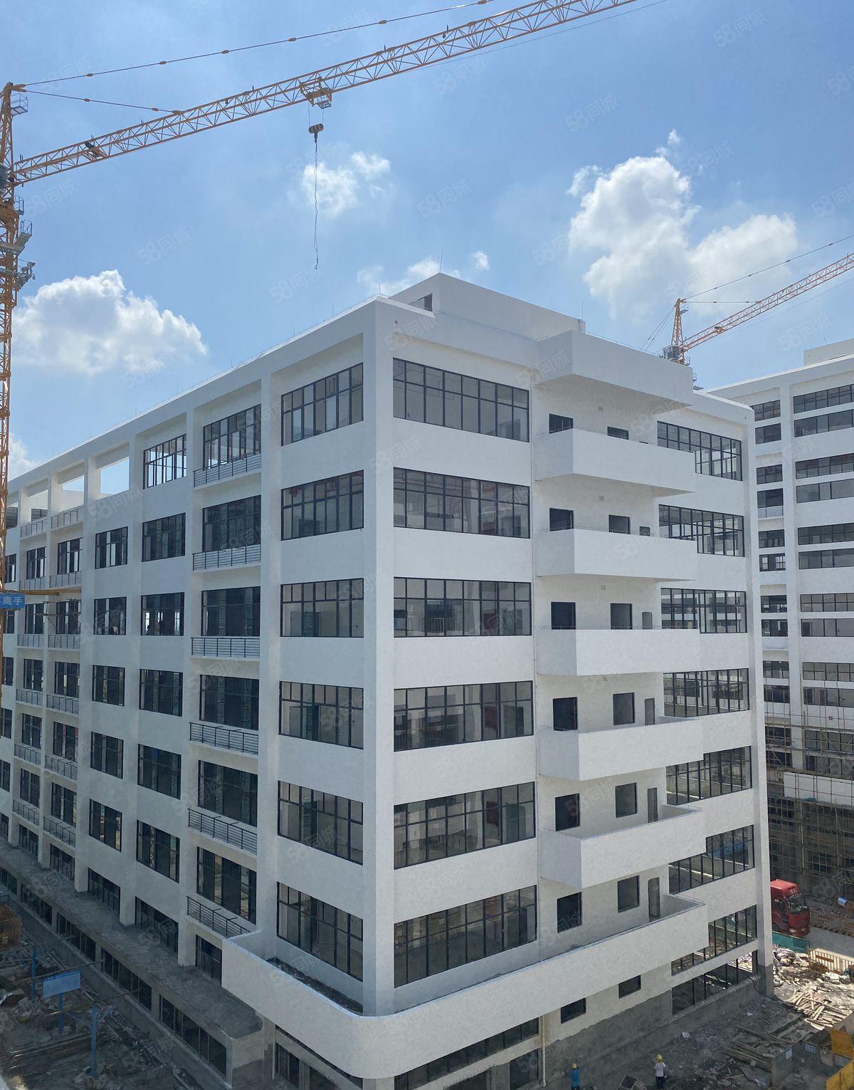 政府项目 高新科技园 全新高标准厂房出租可环评 1500