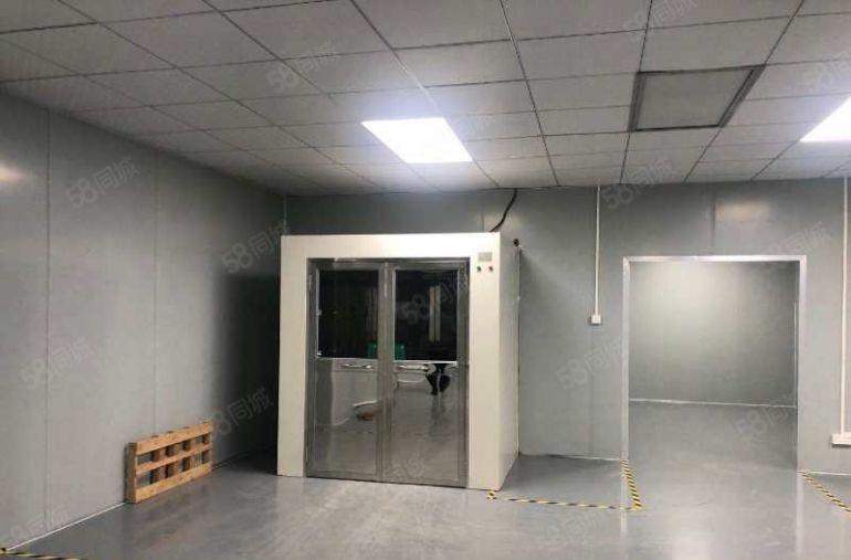 南城全新装修3000平方厂房出租，可办环评，可做食品加工