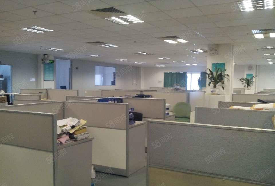 南城 厂房出租 一楼300平方，便宜,地段好