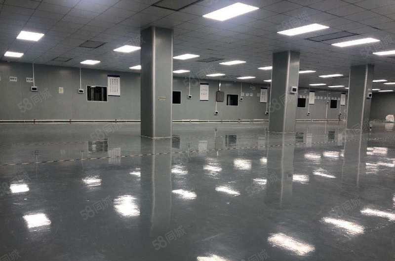 南城全新装修3000平方厂房出租，可办环评，可做食品加工