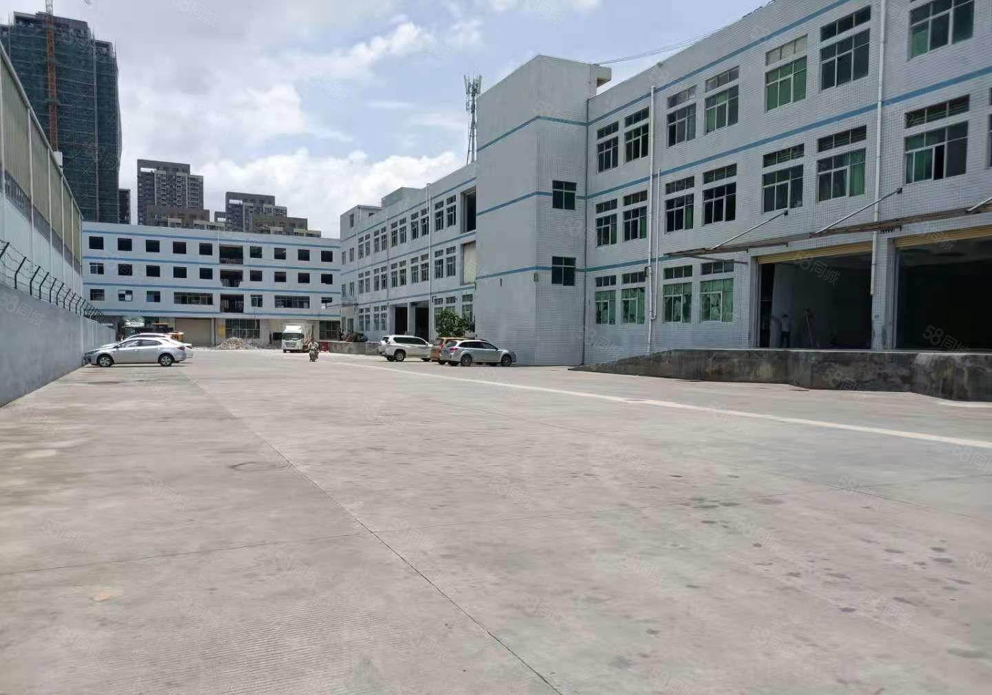 南城独栋厂房出租1800平420起租带有卸货平台空地超大