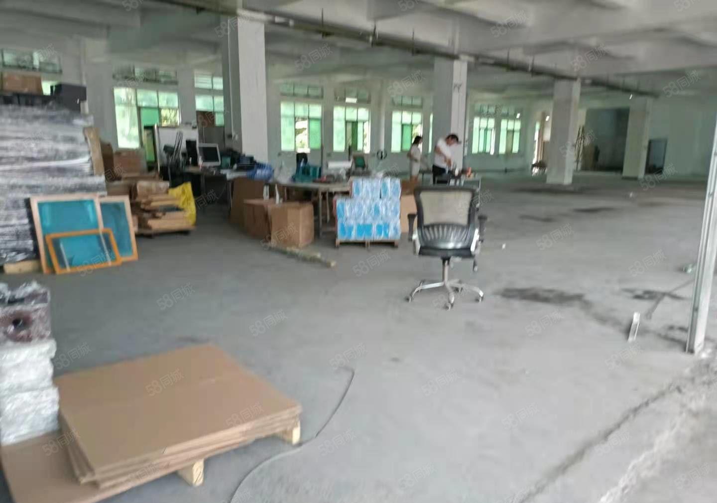 南城独栋厂房出租1800平420起租带有卸货平台空地超大