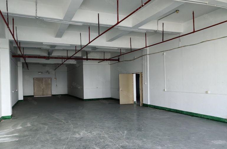 仓库厂房出租350平，500平，780平南城天安数码城附近.