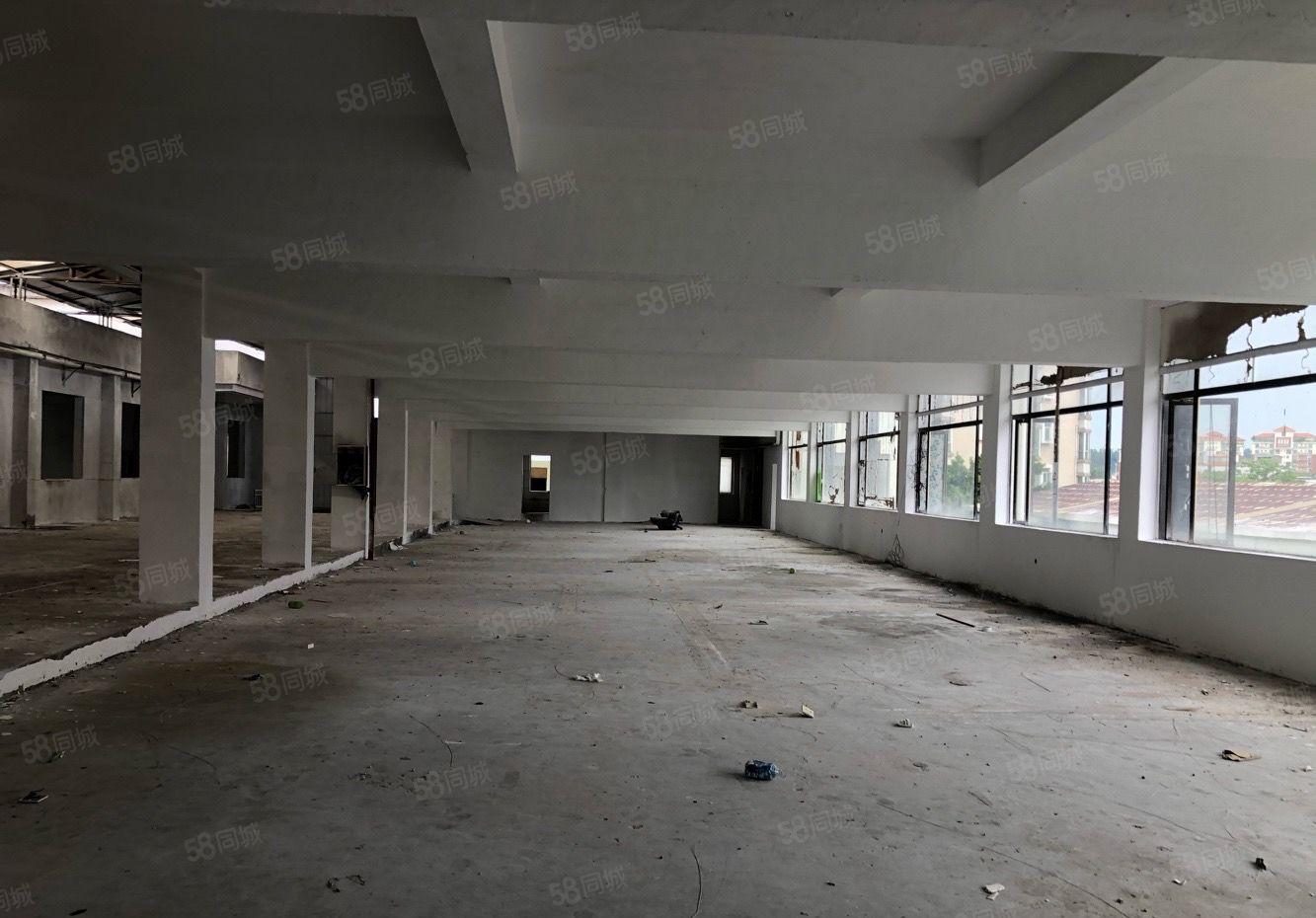 南城东莞大道旁靓丽独院厂房出租，大小可分租，面积7800平