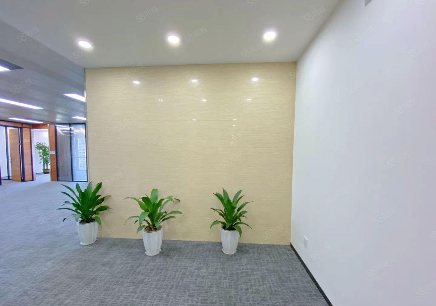 南城行政中心 办公室，电子商务场地出租500平，可分200平