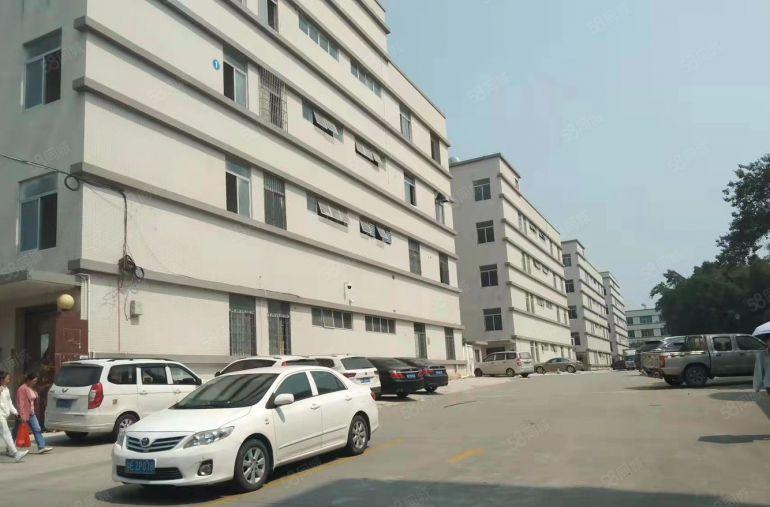 南城水濂山精装修厂房出租，500平起租