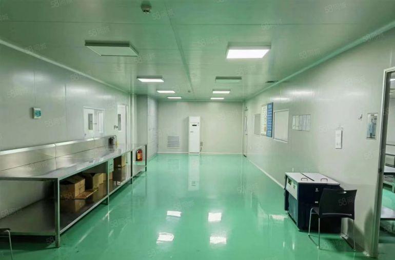 南城街道10万级无尘车间超靓厂房出租