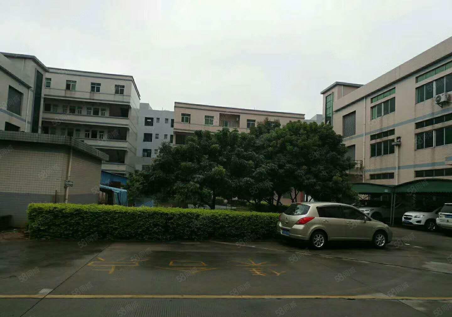 南城蛤地下周空出一楼厂房550平方，可做仓库