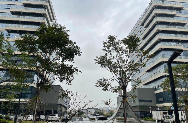 南城车站十万平方厂房出租，可分800，1500，3000等