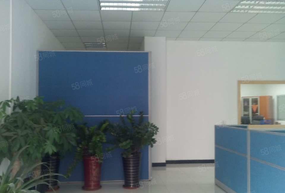 南城 厂房出租 一楼300平方，便宜,地段好