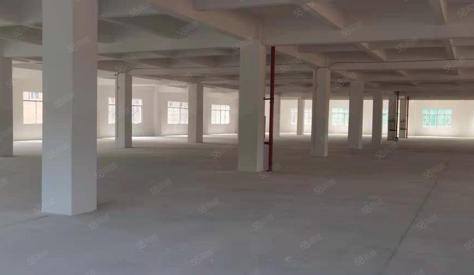 可分租靓厂房，南城新出标准厂房 适合电子设备仓库