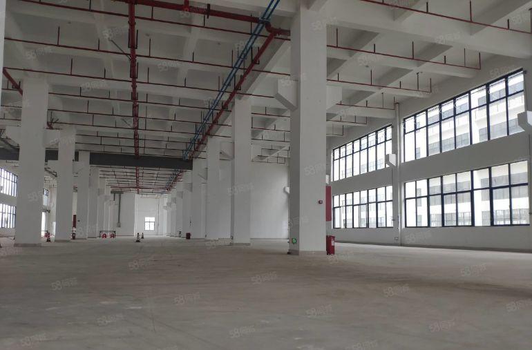 品牌新建工业园4万可分租全新带红本独栋厂房出租出门即主干道