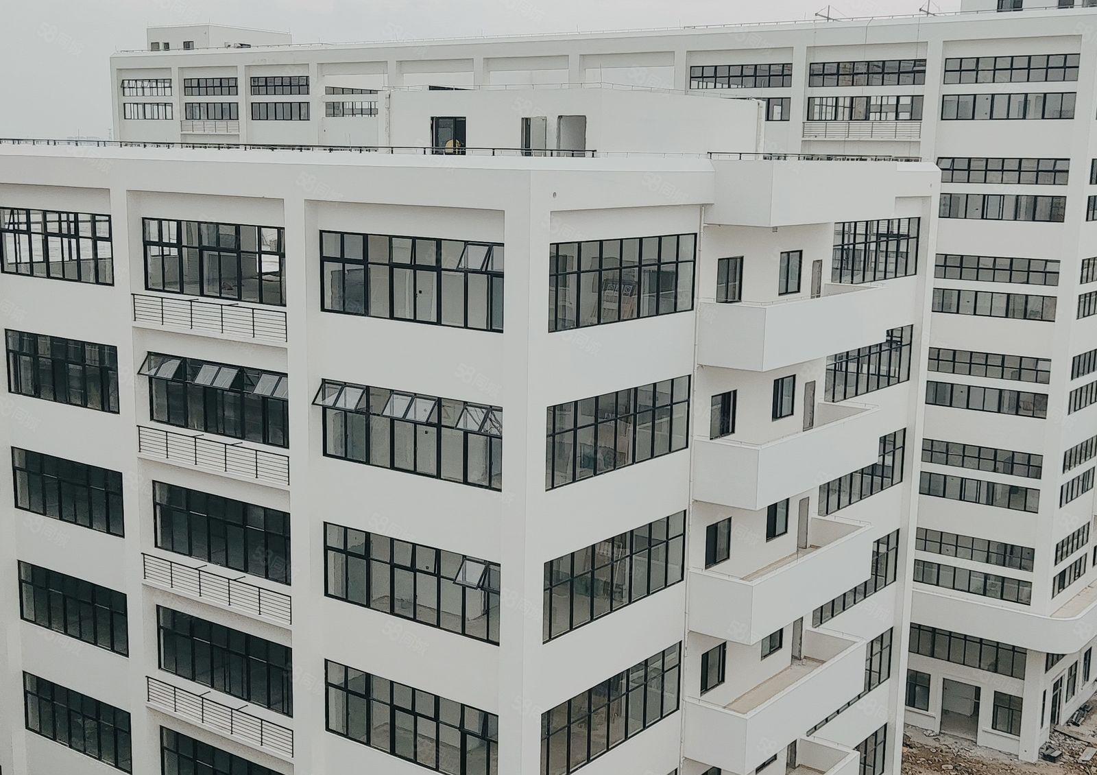 政府项目 高新科技园 全新高标准厂房出租可环评 1500