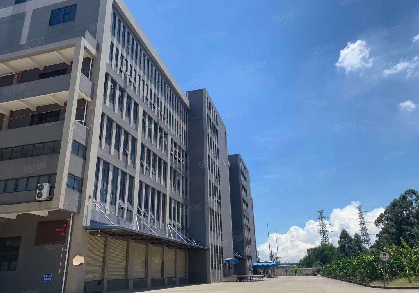 可分租！南城白马独院漂亮大厂房10000平，水电齐全，形象好