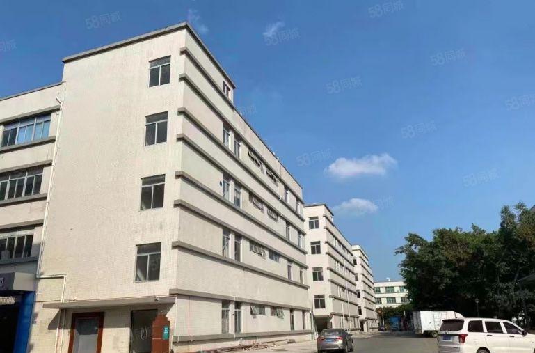 南城水濂山精装修厂房出租，500平起租