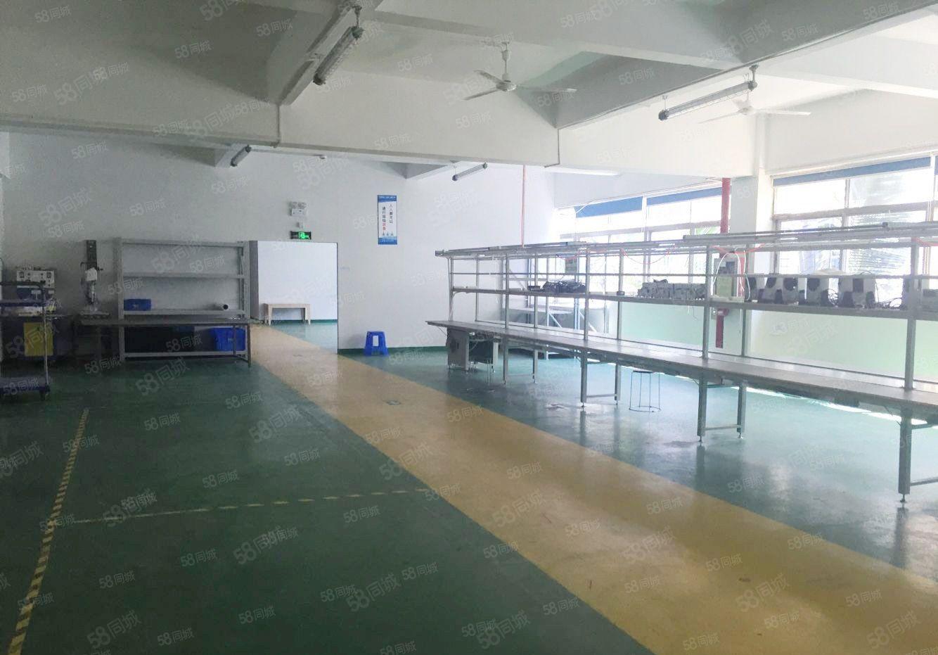 南城低价厂房出租218平330平450平1500平，大小分租