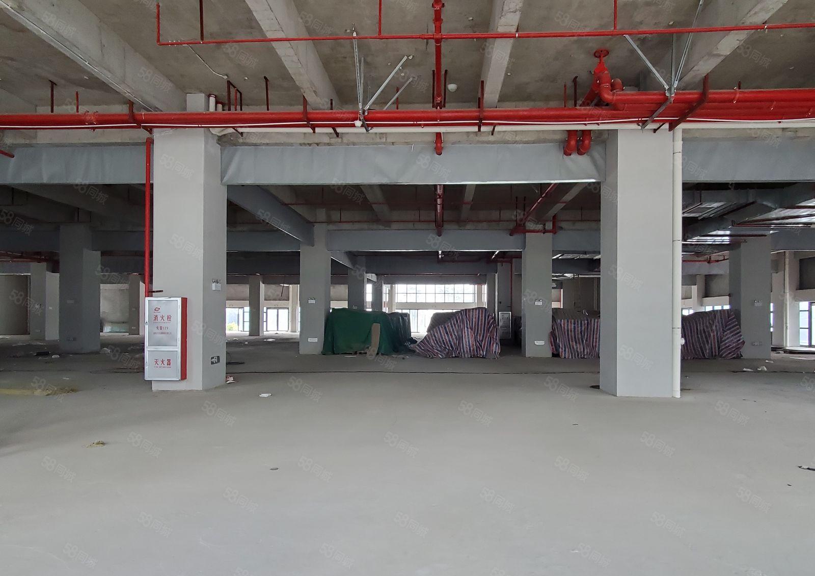 南城天安数码城附近原房东高新产业园，大小面积可分租