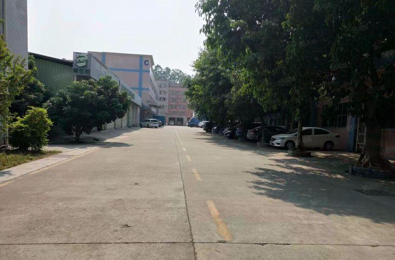 钢结构单一层厂房1300平（低水6米）已翻新完成！水电到位