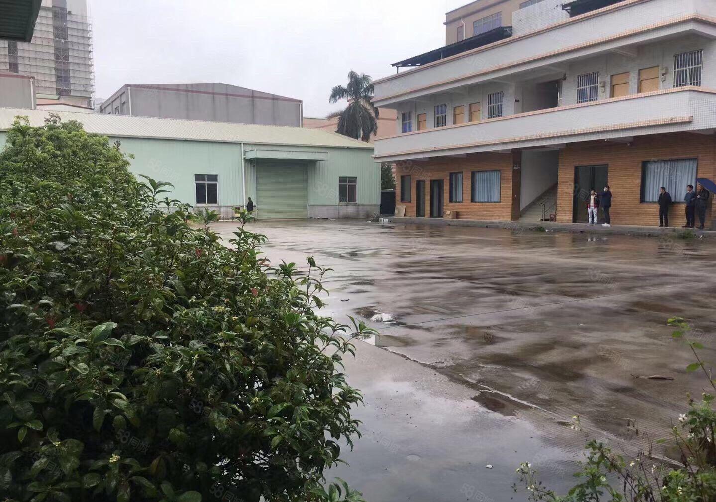 南城白马2600平方独门独院全新单一层低价出租