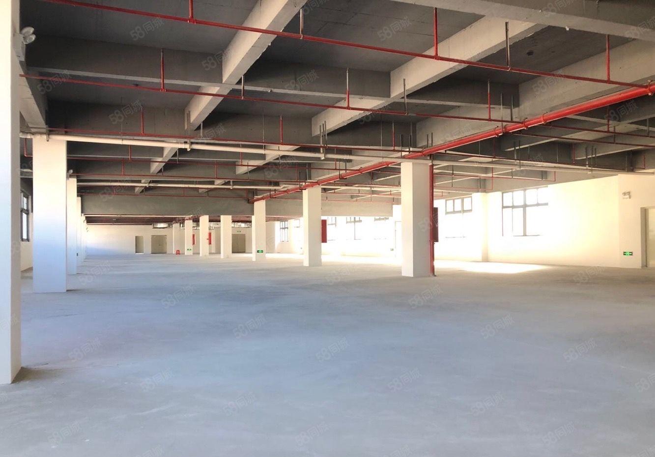 可分租靓厂房，南城新出标准厂房 适合电子设备仓库