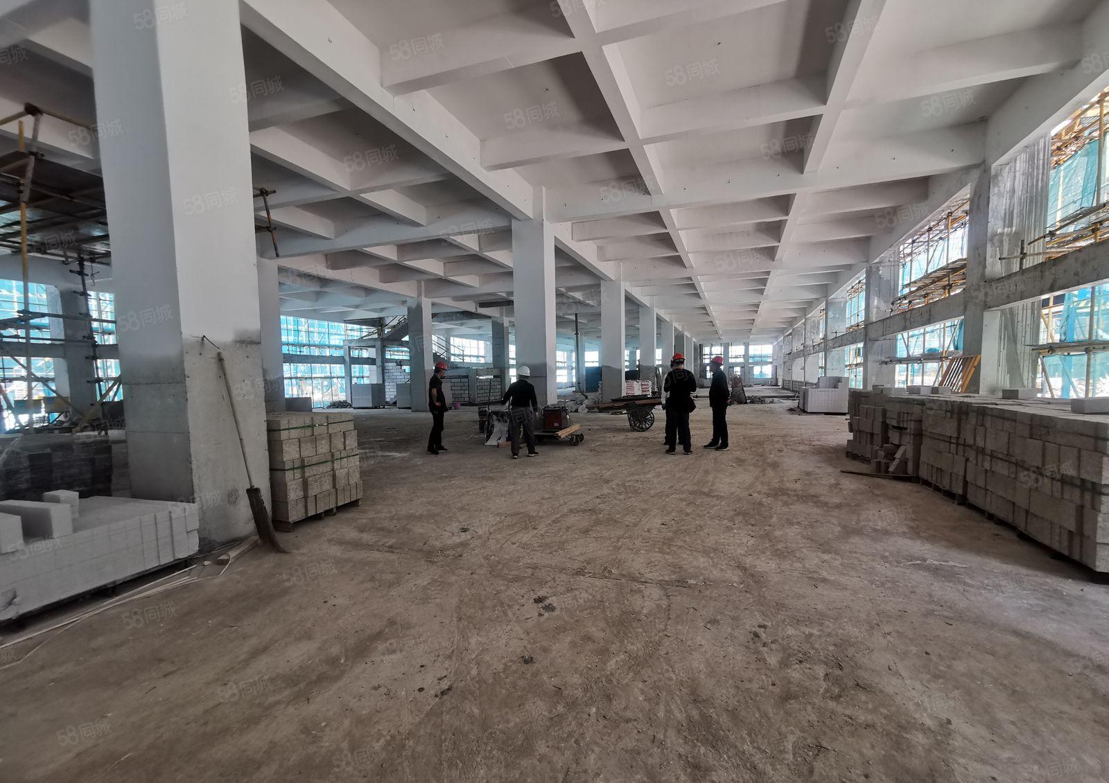 政府项目 智盈科技园 全新高标厂房出租可环评 720