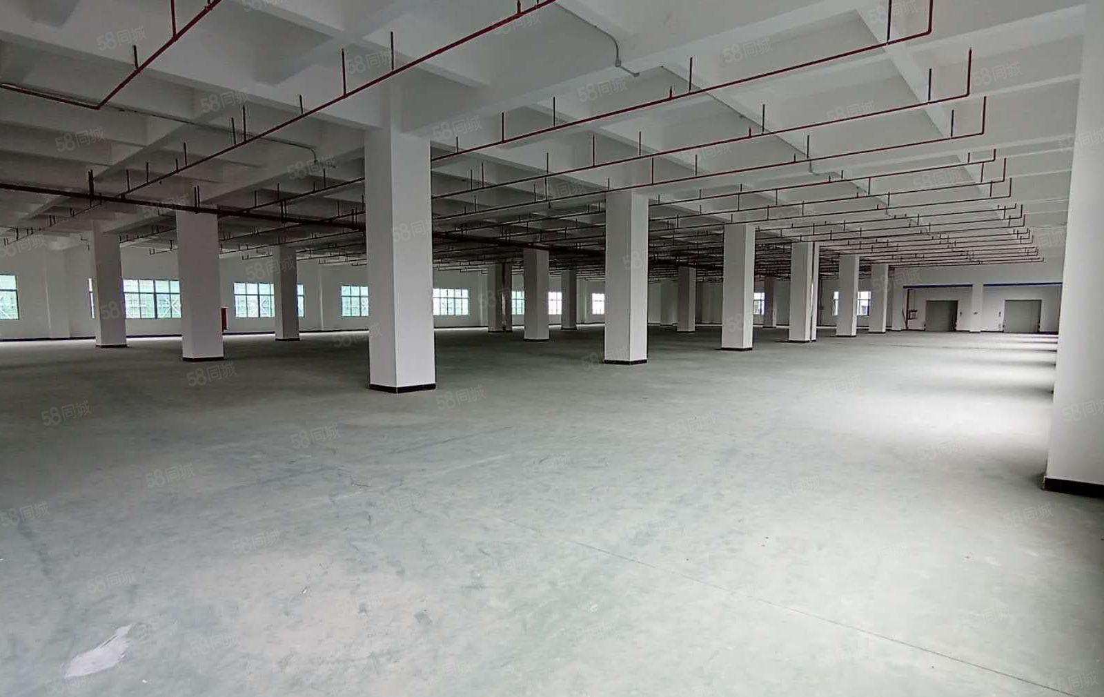 南城新空出单一层厂房仓库4000方形象好交通方便