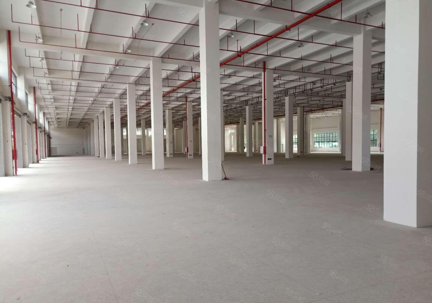 南城新空出单一层厂房仓库4000方形象好交通方便