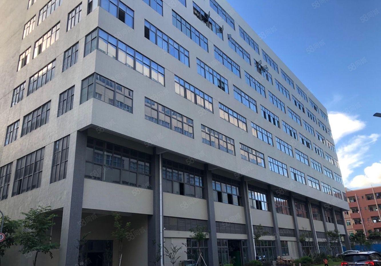 可分租靓厂房，南城新出标准厂房 适合电子设备仓库