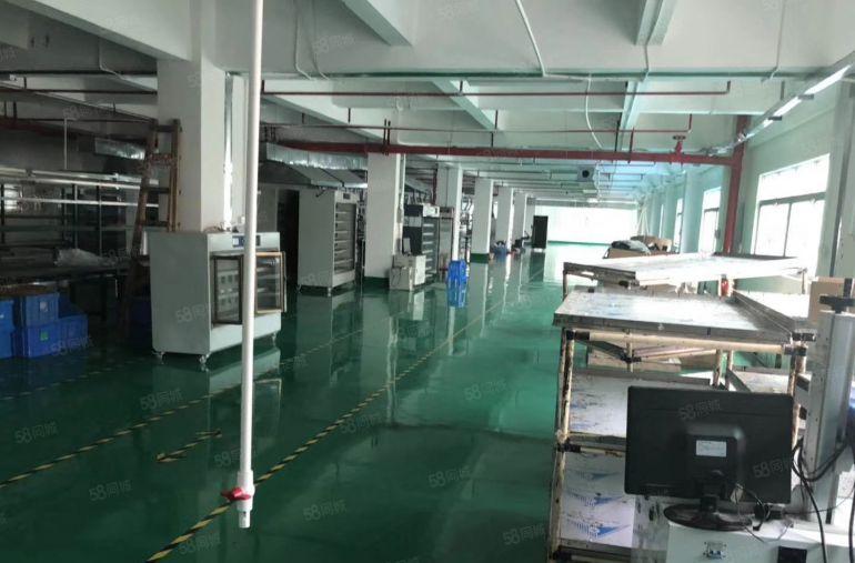 南城 厂房出租 一楼 800平方,价格便宜!急租