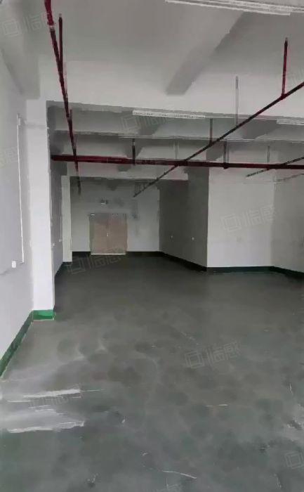 仓库厂房出租350平，500平，780平南城天安数码城附近.