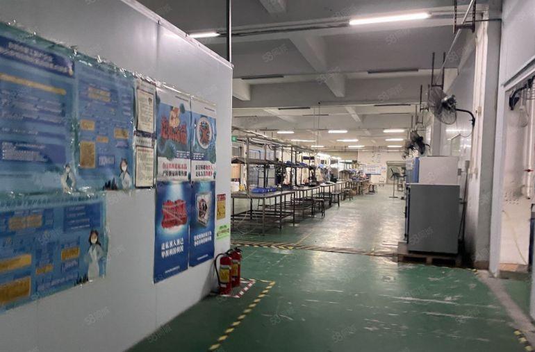 南城蛤地原房东独门独院厂房3800平全厂精装修大小可分租