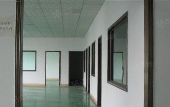 上午新出 南城 独院 厂房招租1000平,现成装修形象好