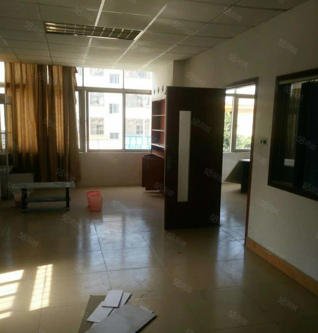 南城 白马 即将空出 二楼整层 600平方，精装修，九成新