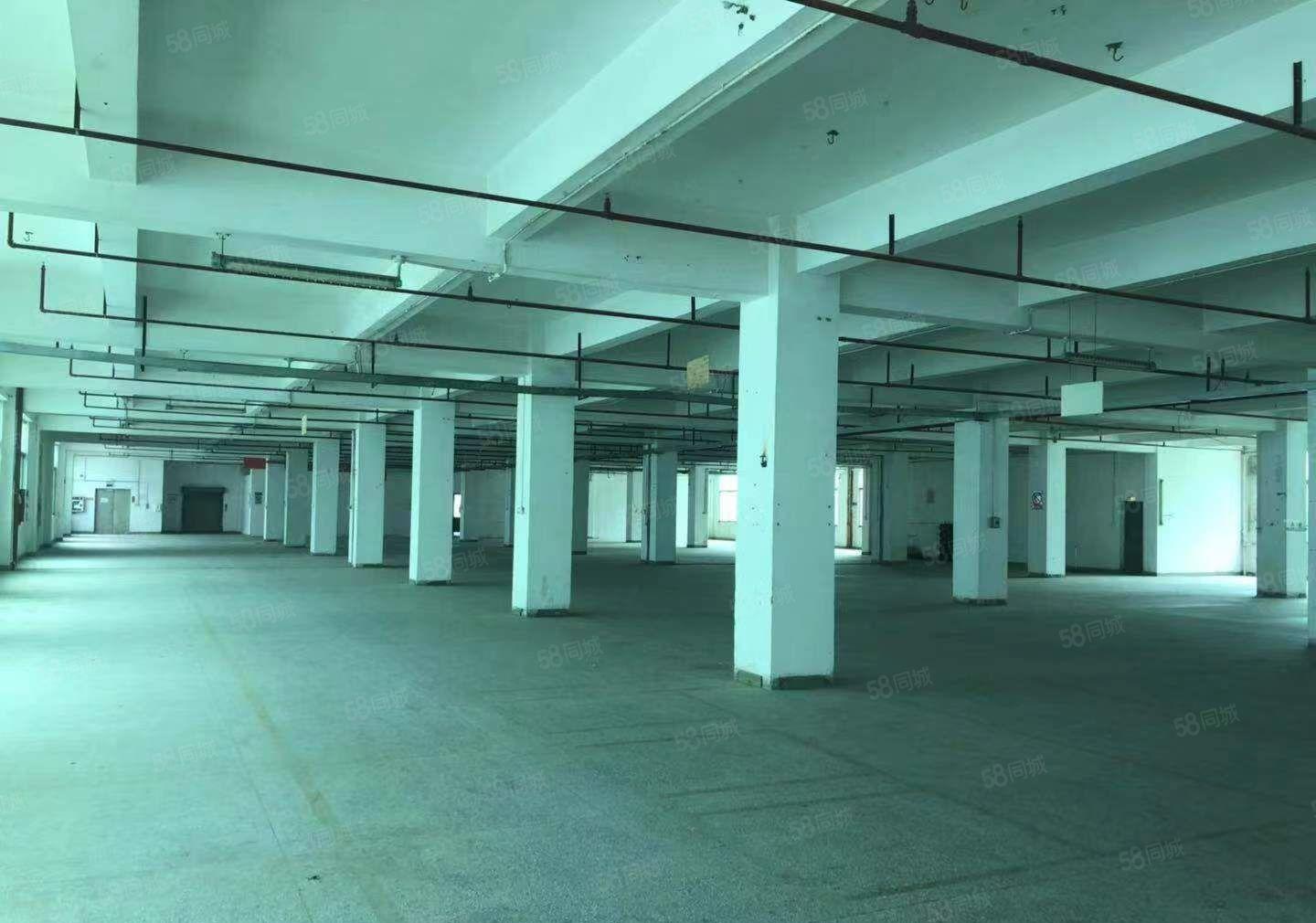 东城主山成熟工业园区厂房招租。