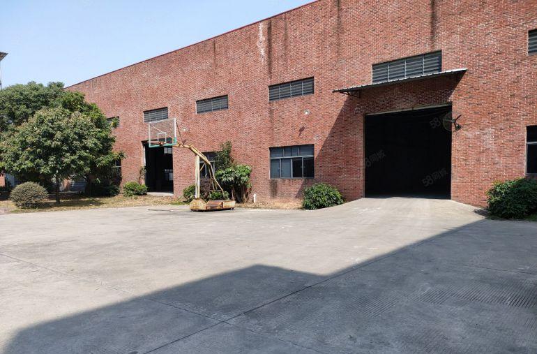 厂房出租 独门独院钢构厂房 交通方便 可办环评 价格好谈