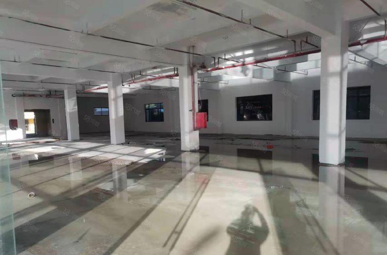 厂房出租8.8元一平东城柏洲边1000平独院小厂房原房东厂房