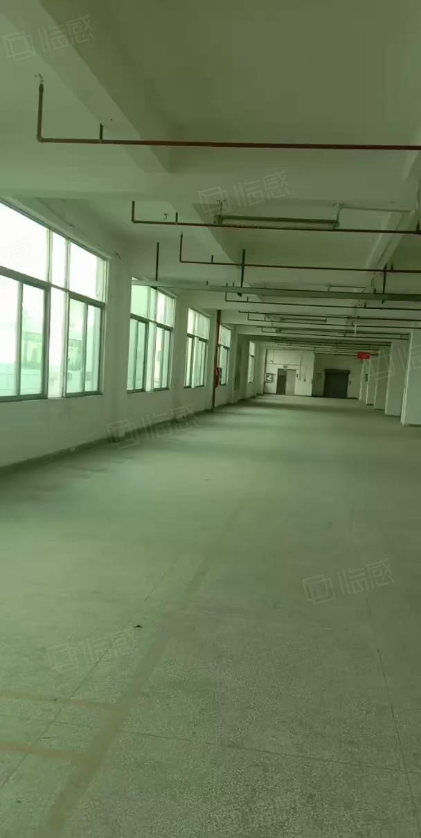 东城周屋豪华工业厂房新出二楼3200平方