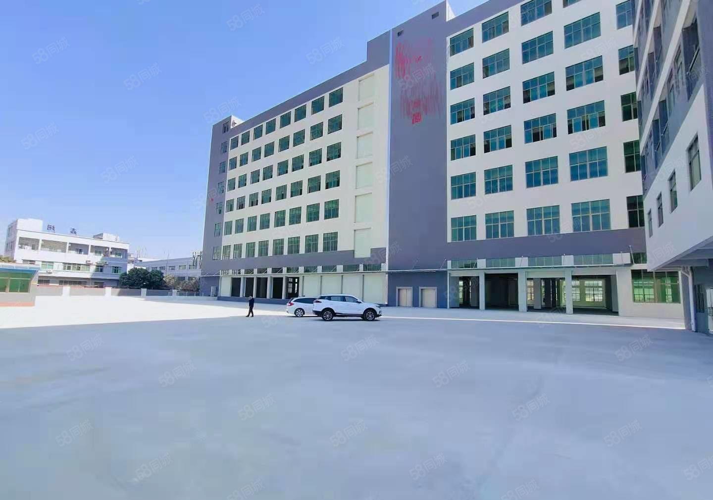 赠免租期！东莞东城区25800方厂房出租，可分租 形象好